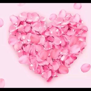 Meet your Posher, Romy